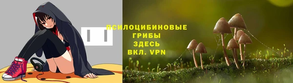 PSILOCYBIN Алзамай