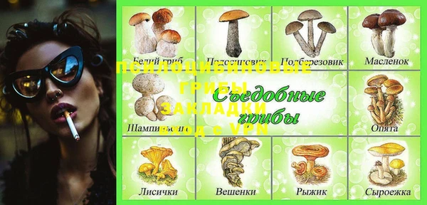 PSILOCYBIN Алзамай