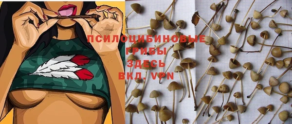 ALPHA-PVP Алексин