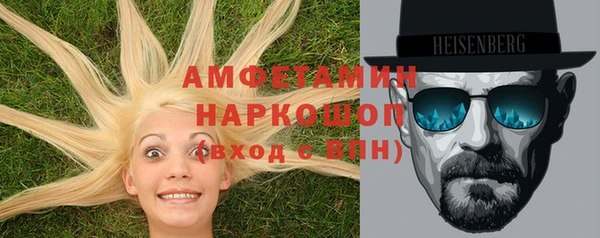 PSILOCYBIN Алзамай